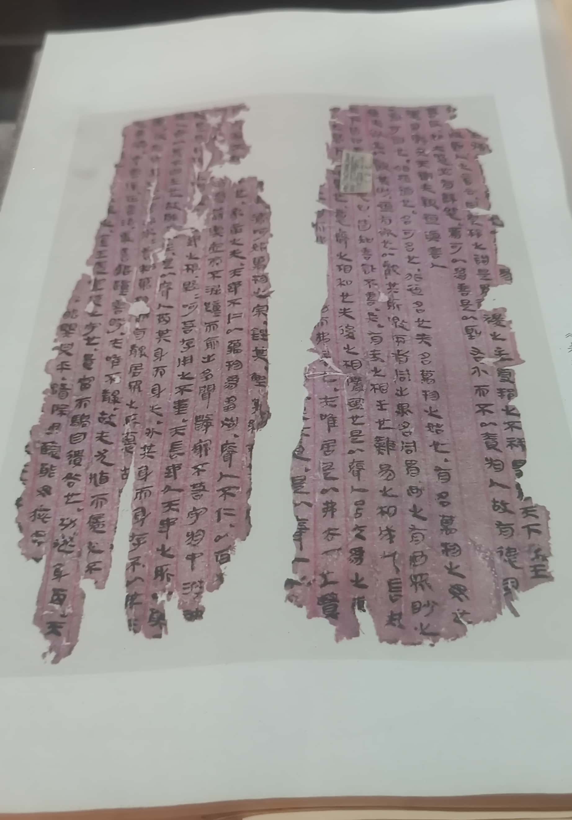 微信图片_20251124083758_139_17_副本.jpg