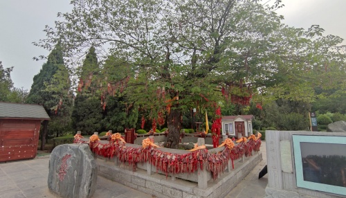 微信图片_20261027083839_2301_142_副本.jpg